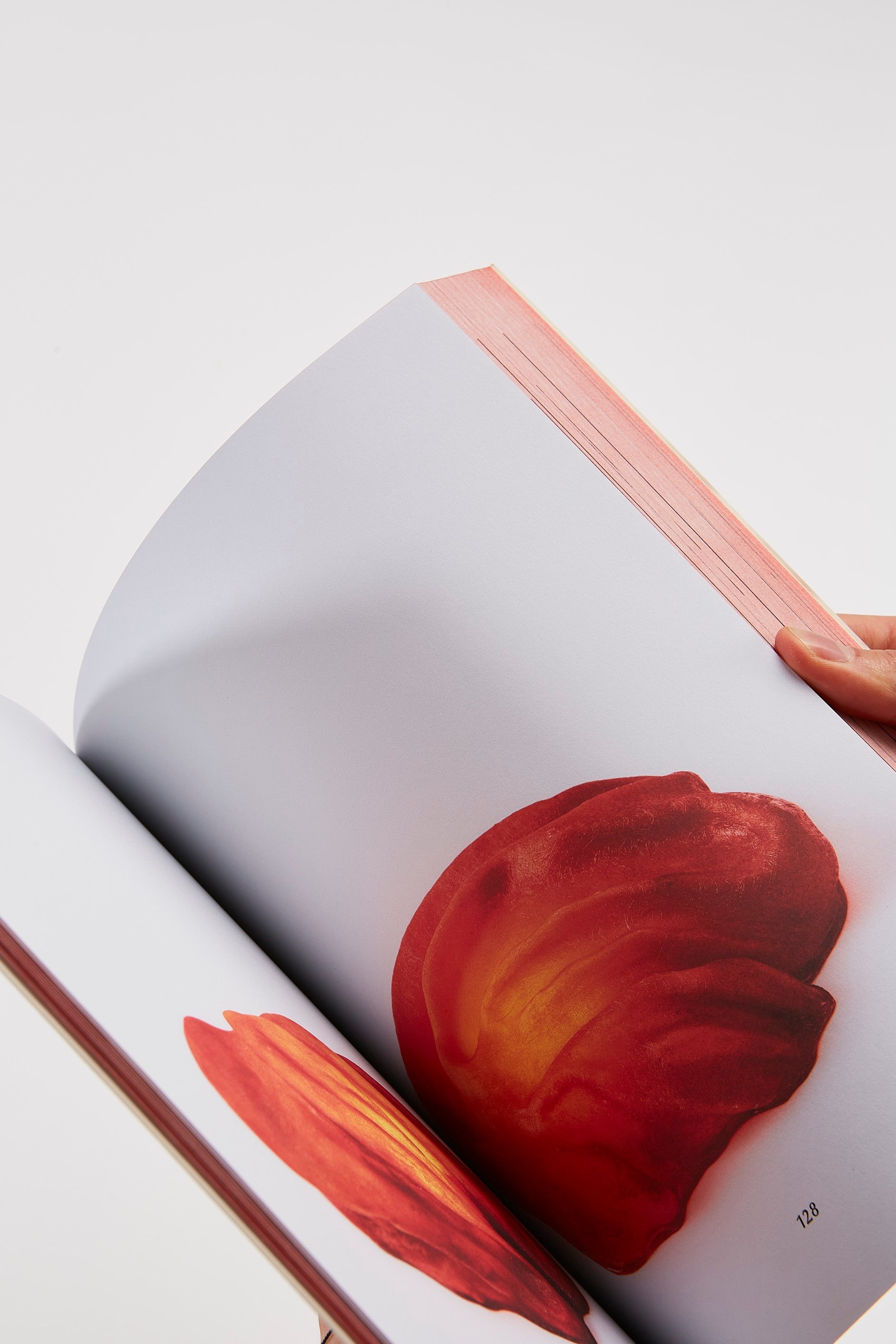 Photo © Gregor Titze