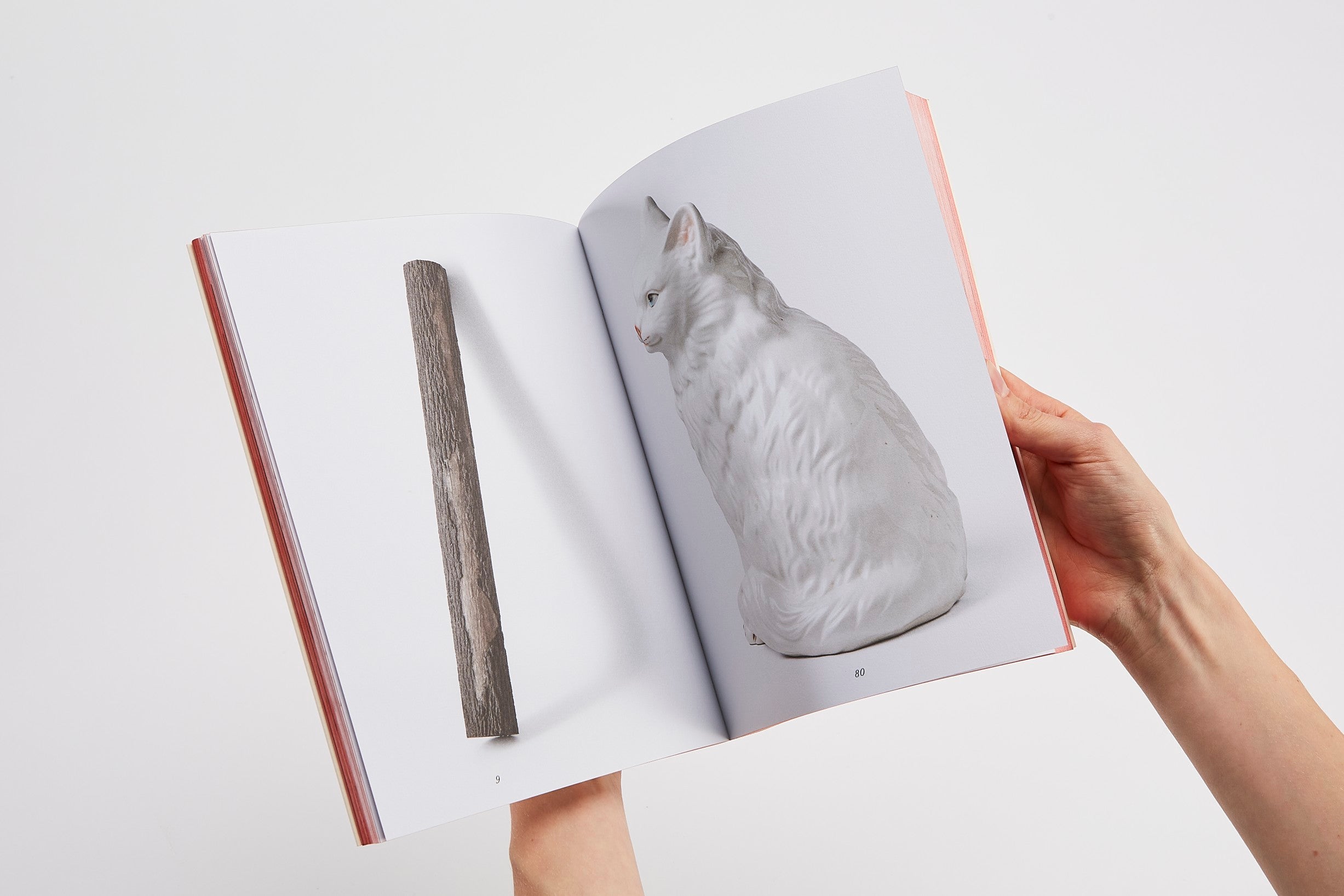 Photo © Gregor Titze