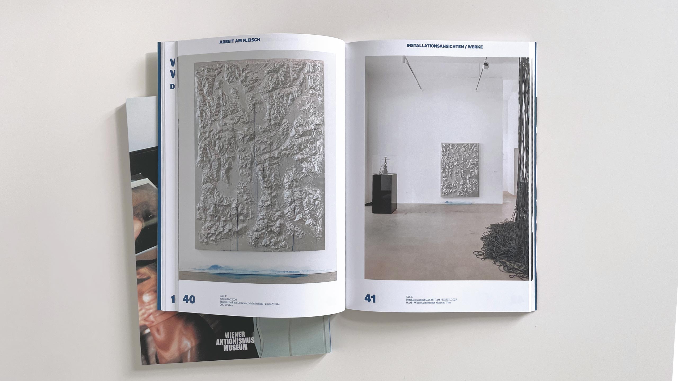 ARBEIT AM FLEISCH. THOMAS FEUERSTEIN