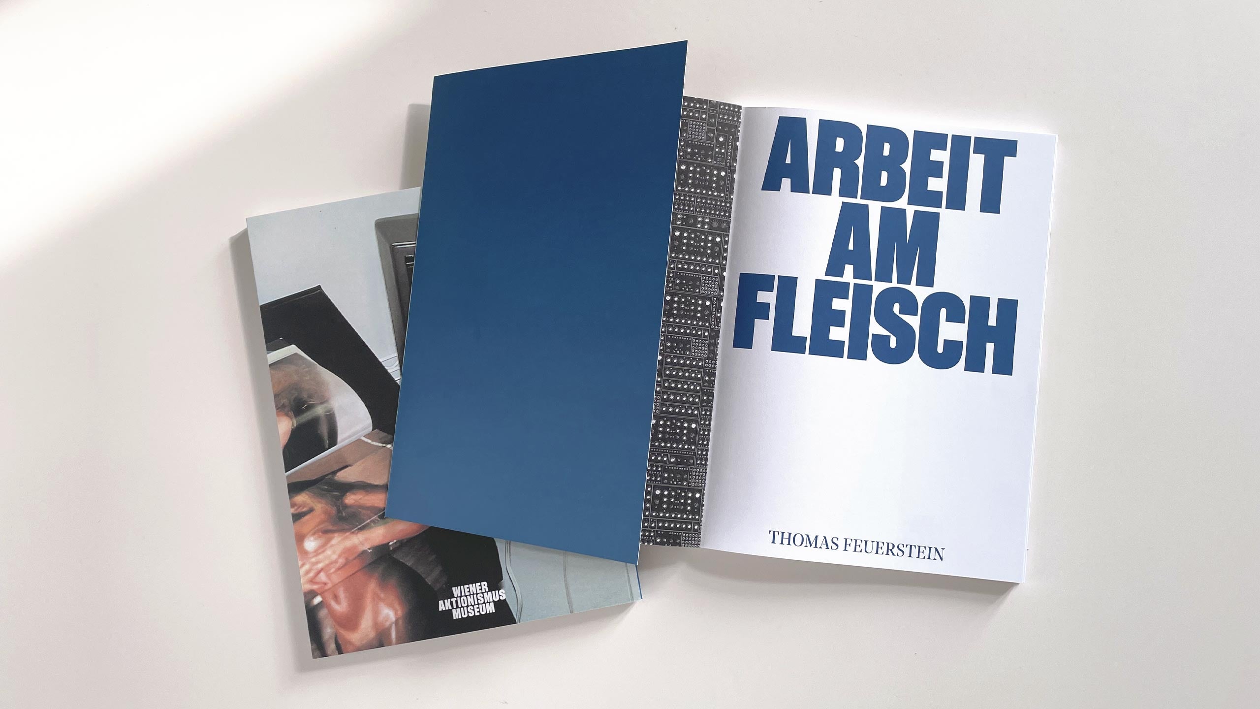 ARBEIT AM FLEISCH. THOMAS FEUERSTEIN